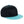 Youth snapback