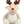 Zippie reindeer