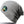 Core Softex® beanie