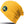 Core Softex® beanie