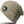 Core Softex® beanie