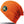 Core Softex® beanie
