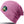 Core Softex® beanie