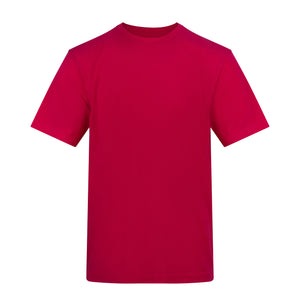 100 x Soft Cotton T-Shirts by AWDis