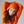 Engineered knit ribbed beanie
