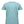 Heavyweight adult t-shirt