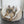 Dog butterfly bed
