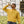 Authentic hooded sweatshirt
