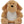 Printme mini teddy