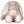 Printme mini teddy