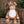 Zippie giraffe