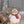 Zippie penguin