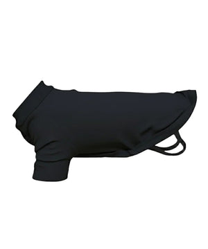 Dog’s raglan t-shirt