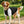 Dog’s raglan t-shirt