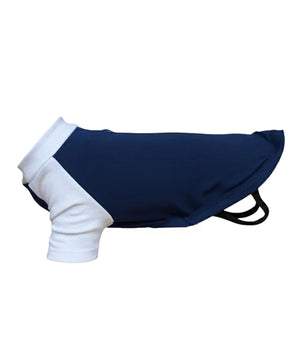 Dog’s raglan t-shirt