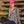 Women's hooded tee jacket 