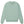 Unisex Ledger dry sweatshirt (STSU798)
