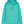 Unisex Cruiser 2.0 iconic hoodie sweatshirt (STSU177)