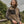 Mountain fleece bodywarmer (9122)