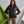 Women's quilted flight jacket