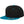 The classic snapback 2-tone  (6089MT)