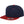 The classic snapback 2-tone  (6089MT)