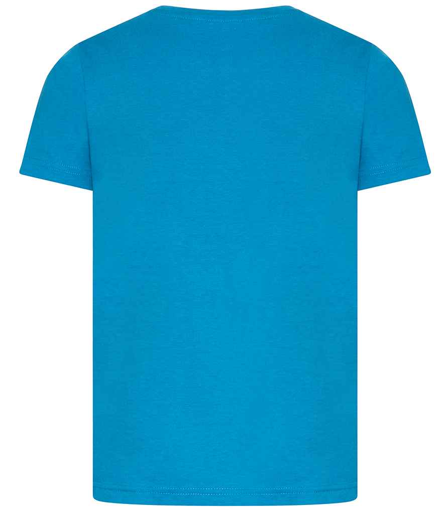Ecologie Kids Cascades Organic T-Shirt in by Ecologie — Custom branded clothing by Print Press, featuring premium embroidery produced in our specialist print lab in the UK.