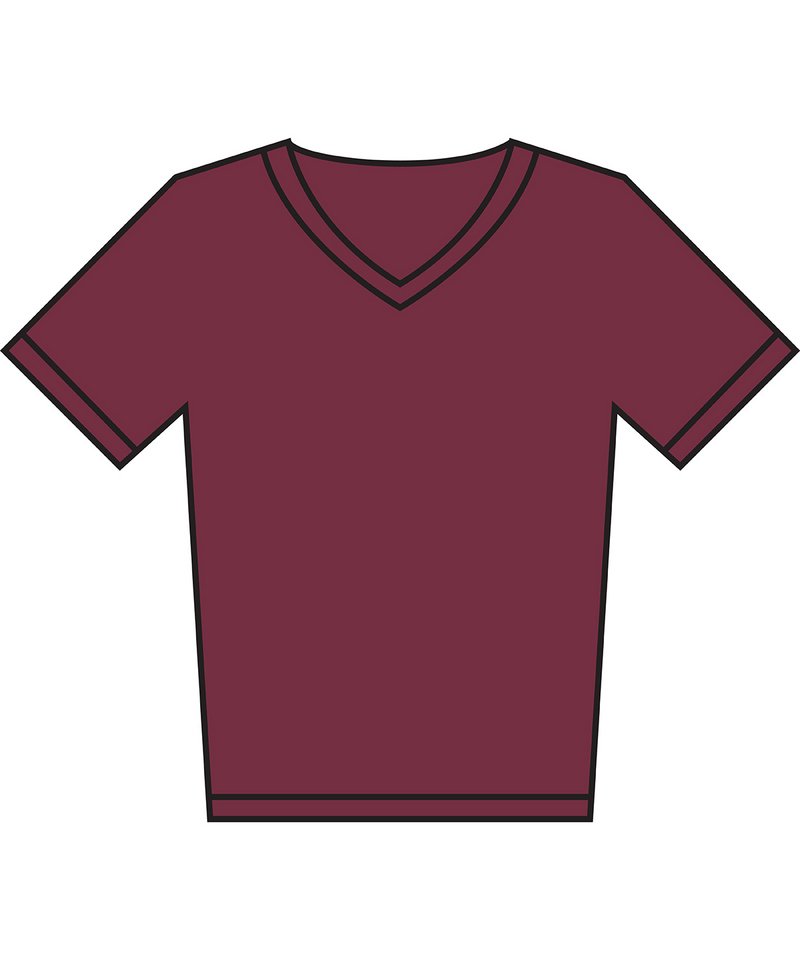 Stanley Presenter V-Neck T-Shirt (Sttm562) in by StanleyStella — Custom branded clothing by Print Press, featuring premium embroidery produced in our specialist print lab in the UK.